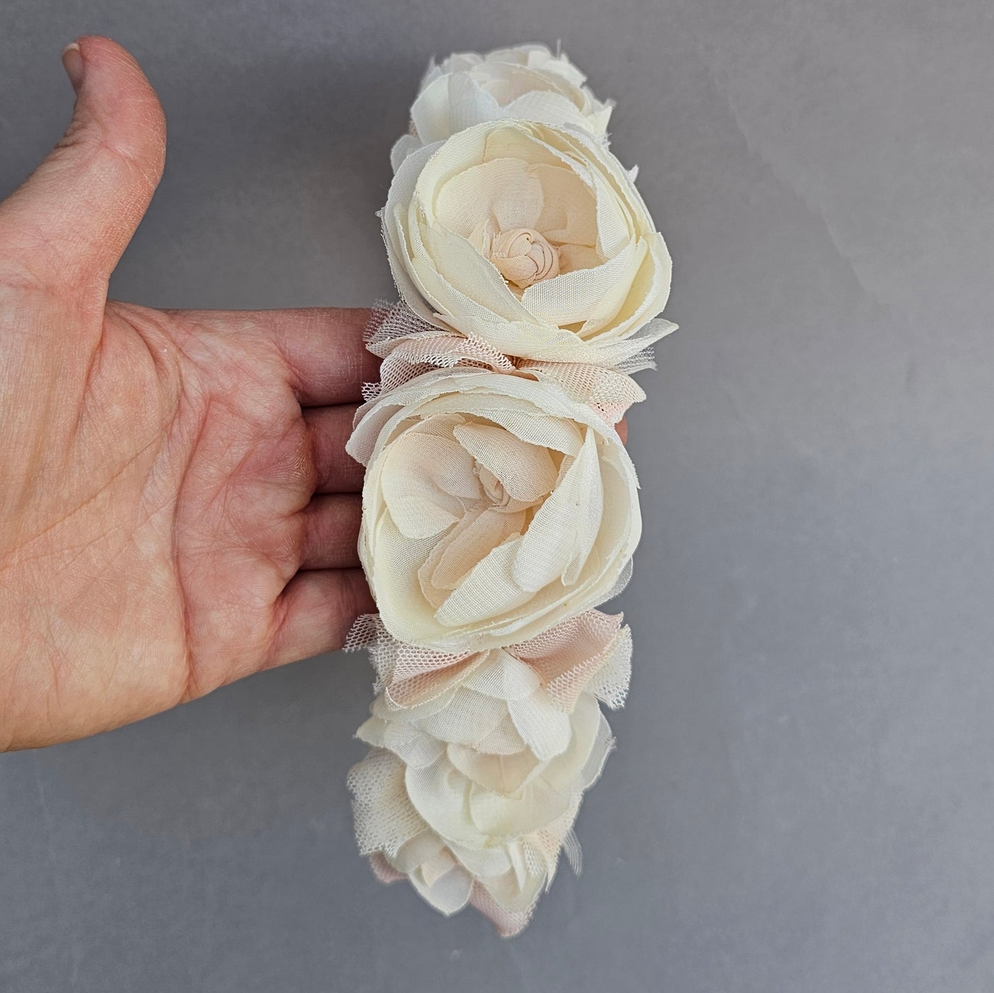 Corona Petunia